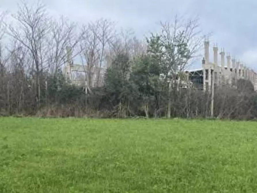 Immagine 1 di Terreno in vendita  in San Quirino a San Quirino