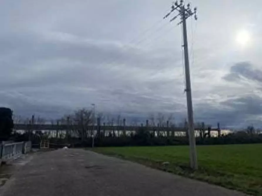 Immagine 2 di Terreno in vendita  in San Quirino a San Quirino