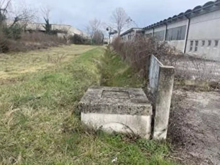 Immagine 2 di Terreno in vendita  in San Quirino a San Quirino