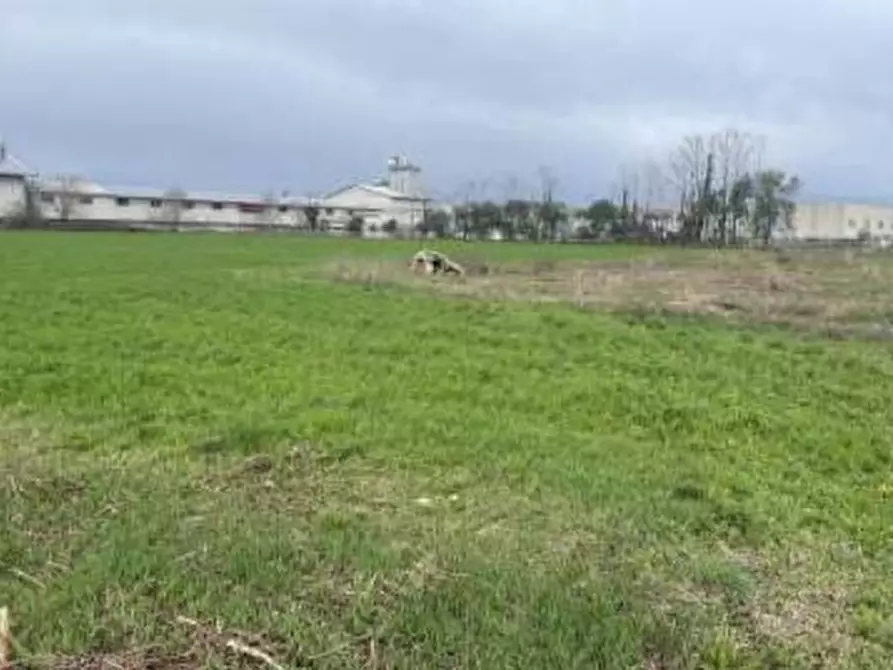 Immagine 2 di Terreno in vendita  in San Quirino a San Quirino