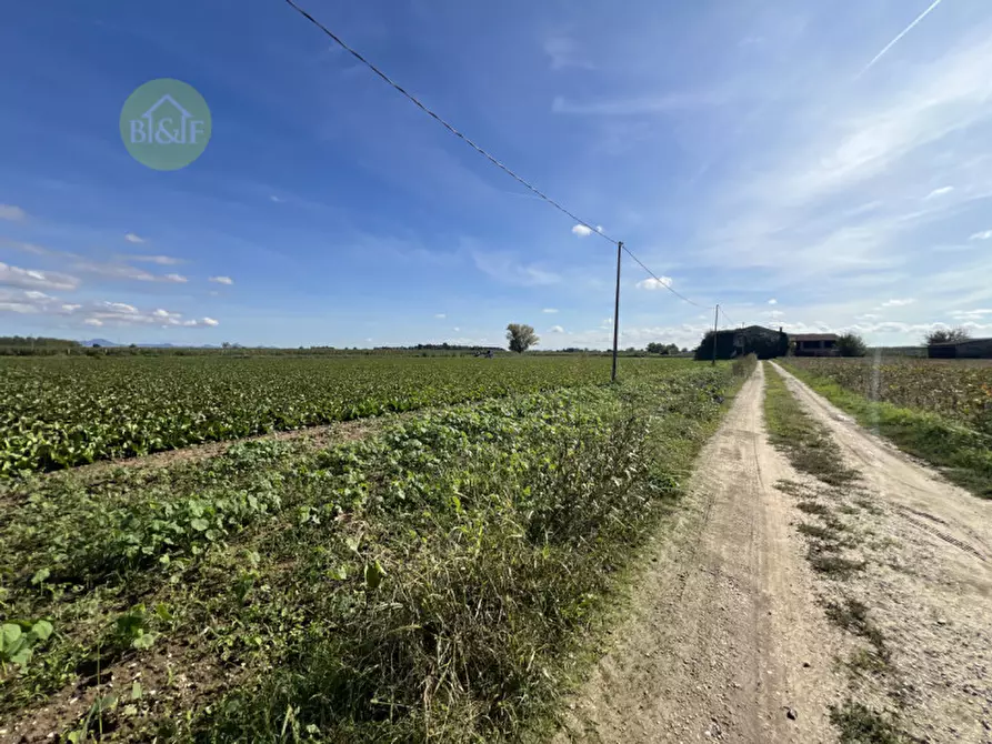 Immagine 1 di Terreno in vendita  in bevilacqua a Bevilacqua