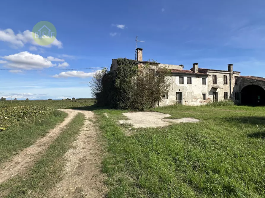 Immagine 1 di Rustico / casale in vendita  in bevilacqua a Bevilacqua