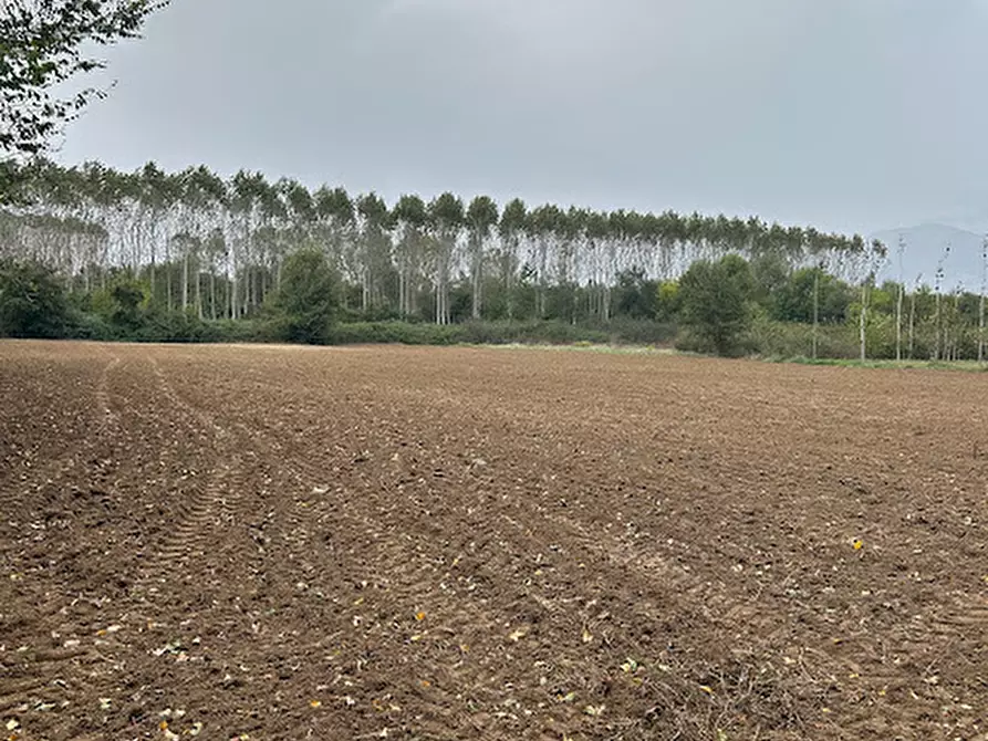 Immagine 1 di Terreno in vendita  a Sant'apollinare
