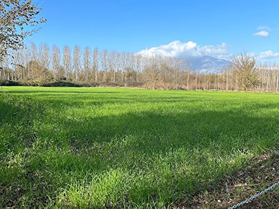 Immagine 4 di Terreno in vendita  a Sant'apollinare