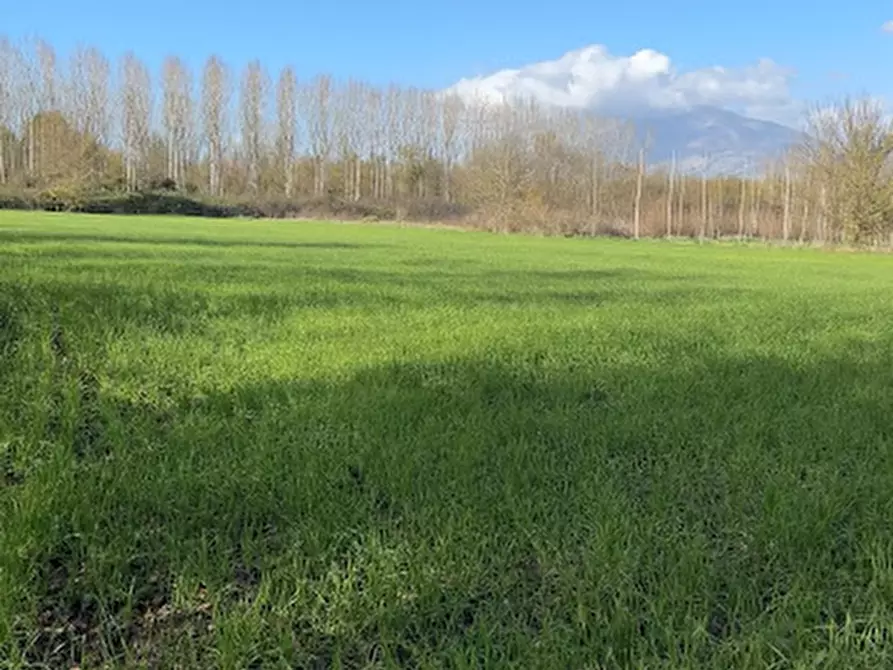 Immagine 5 di Terreno in vendita  a Sant'apollinare