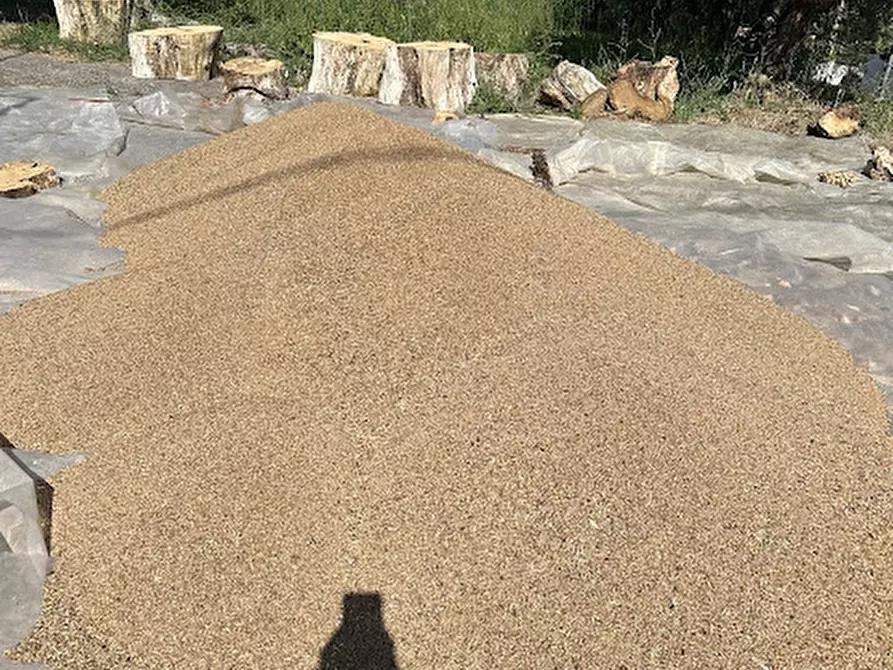 Immagine 7 di Terreno in vendita  a Sant'apollinare