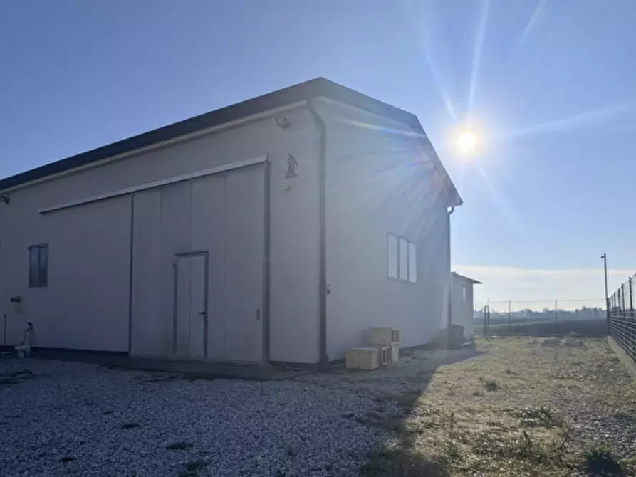 Immagine 32 di Casa indipendente in vendita  a Stanghella