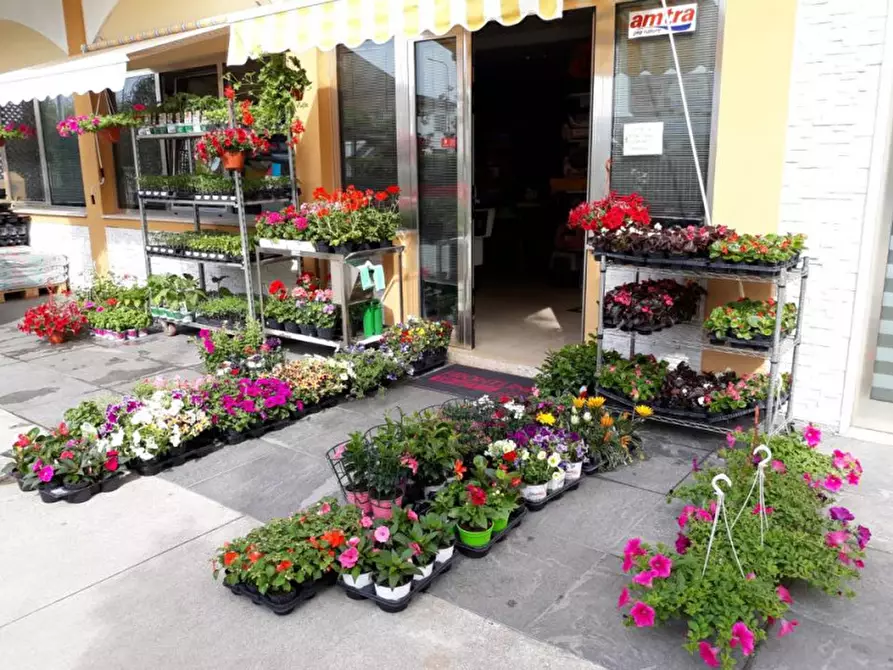 Immagine 4 di Attività commerciale in vendita  in via palestro a Calvisano
