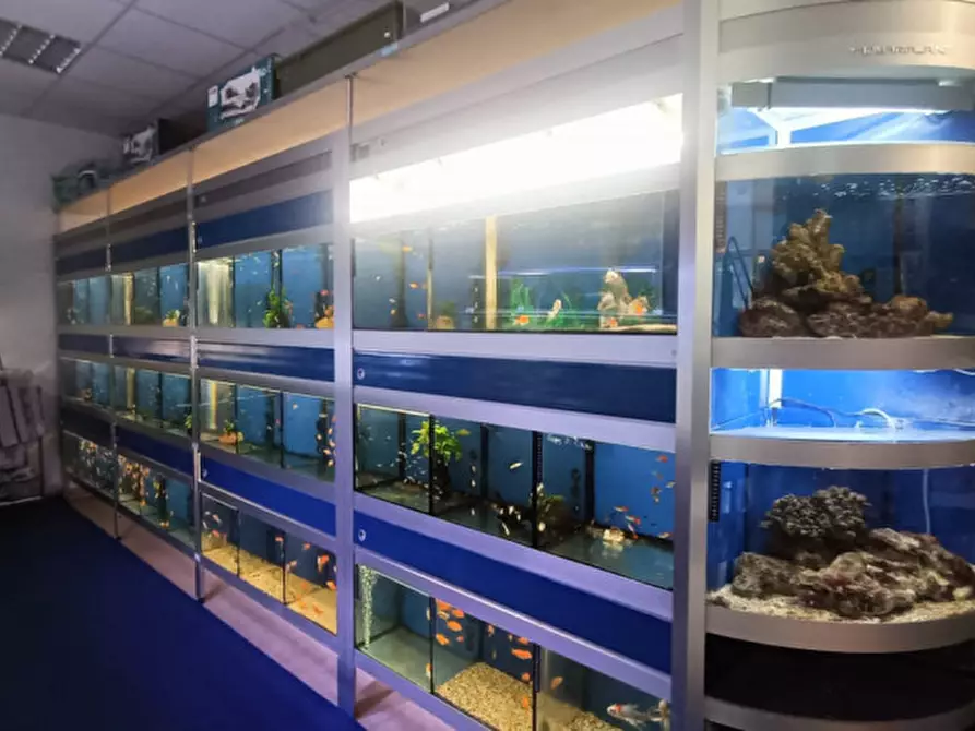 Immagine 20 di Attività commerciale in vendita  in via palestro a Calvisano