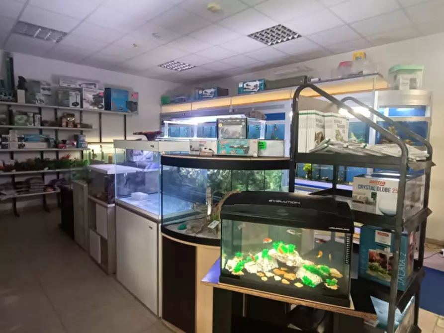 Immagine 22 di Attività commerciale in vendita  in via palestro a Calvisano