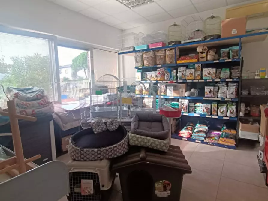 Immagine 26 di Attività commerciale in vendita  in via palestro a Calvisano