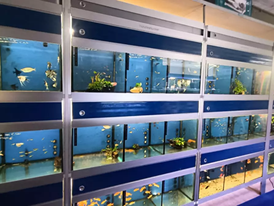 Immagine 28 di Attività commerciale in vendita  in via palestro a Calvisano