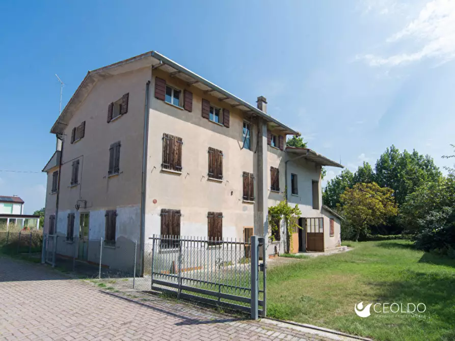 Immagine 3 di Casa indipendente in vendita  in Via Prati a Vigonza