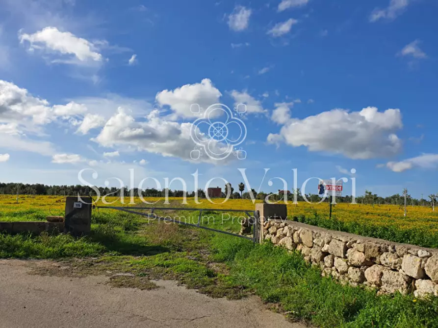Immagine 9 di Terreno in vendita  in Contrada Tammali a Parabita