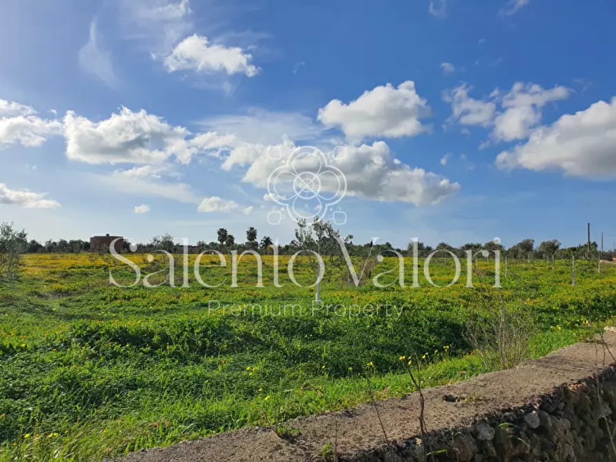 Immagine 10 di Terreno in vendita  in Contrada Tammali a Parabita