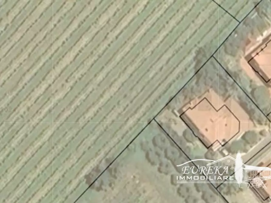 Immagine 68 di Villa in vendita  in via roma 152 a Castiglione Del Lago