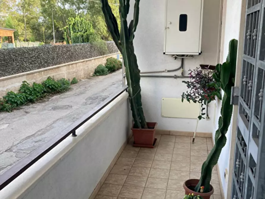 Immagine 15 di Casa indipendente in vendita  in VIA VERONA a Ceglie Messapico