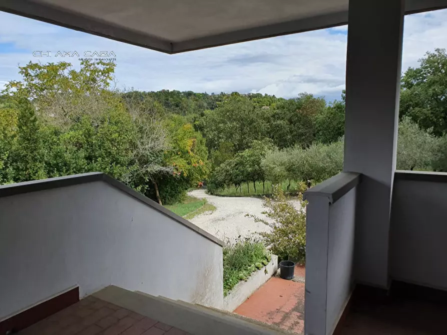 Immagine 4 di Casa indipendente in vendita  in Strada Roncosambaccio a Fano