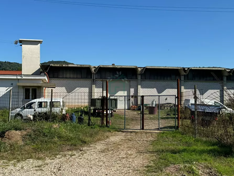 Immagine 1 di Capannone industriale in affitto  a Colognola Ai Colli