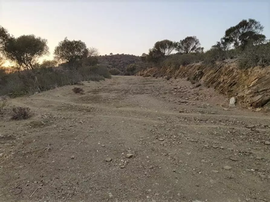 Immagine 1 di Terreno in vendita  in Porto di Piscinnì a Domus De Maria