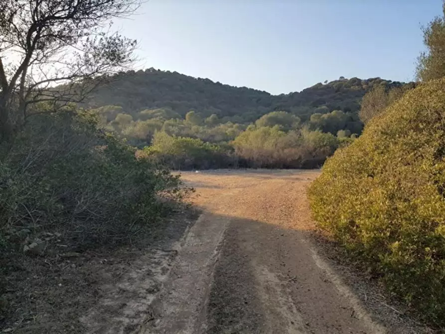 Immagine 1 di Terreno in vendita  in Franciscu Boi a Domus De Maria