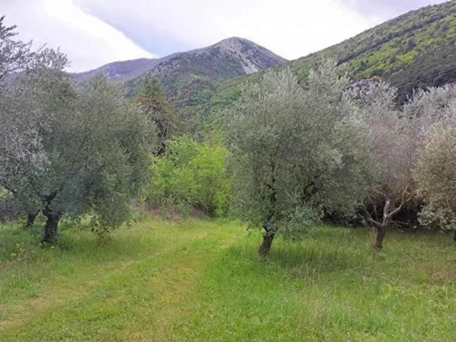 Immagine 1 di Terreno in vendita  in Contrada Tremonti, N. snc a Popoli