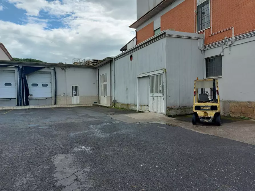 Immagine 2 di Capannone industriale in vendita  in S.S. CASSIA KM 29.700, N. snc a Campagnano Di Roma