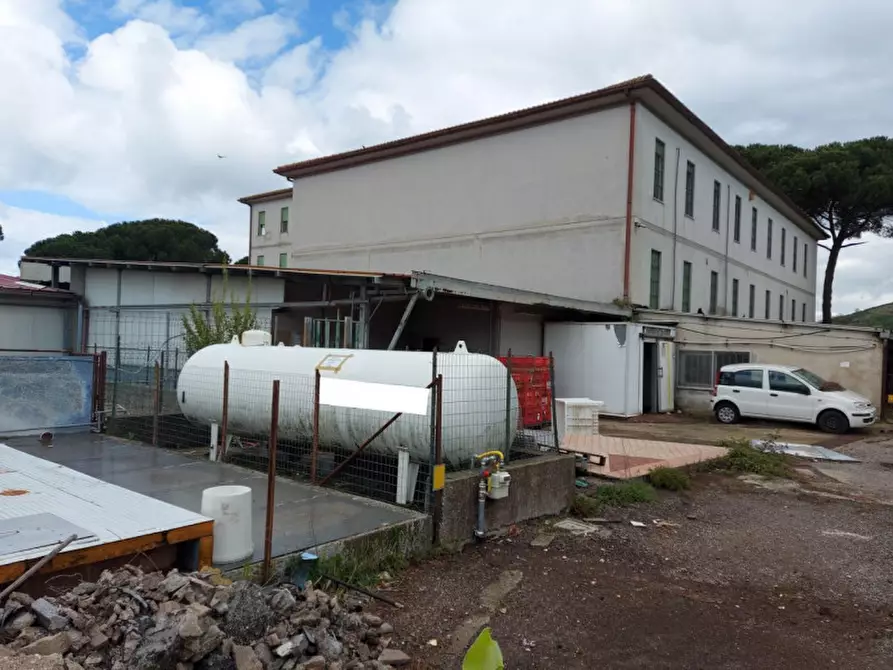 Immagine 6 di Capannone industriale in vendita  in S.S. CASSIA KM 29.700, N. snc a Campagnano Di Roma