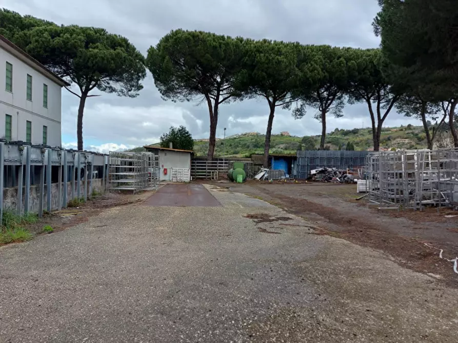 Immagine 7 di Capannone industriale in vendita  in S.S. CASSIA KM 29.700, N. snc a Campagnano Di Roma