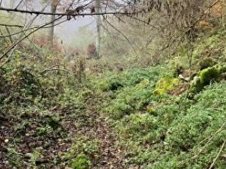 Immagine 1 di Terreno in vendita  in VIA MONTE CAINA a Bassano Del Grappa