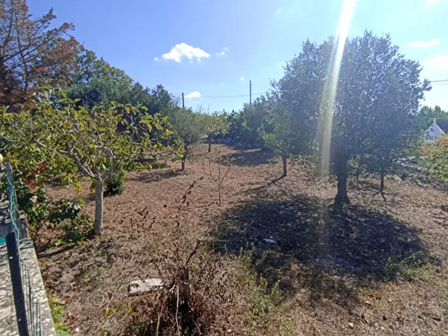 Immagine 44 di Rustico / casale in vendita  in FORTO a Fasano