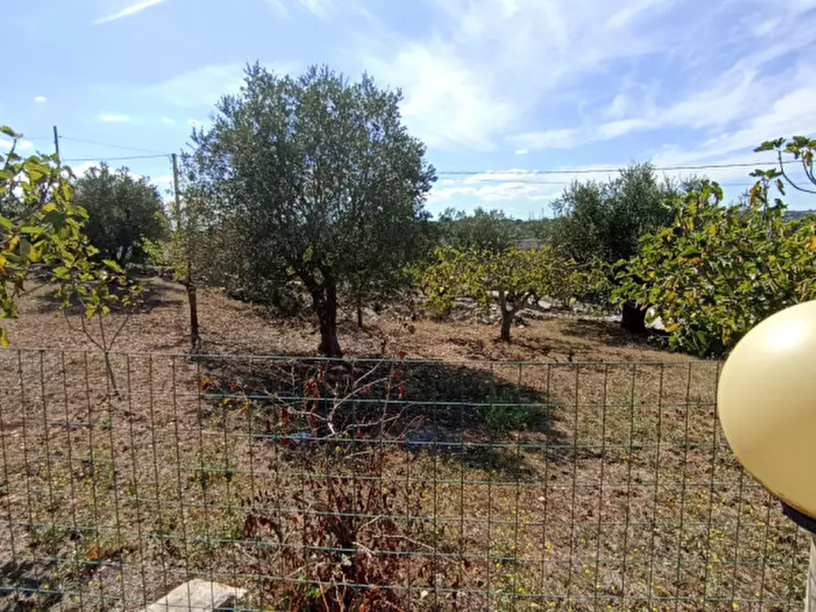 Immagine 45 di Rustico / casale in vendita  in FORTO a Fasano