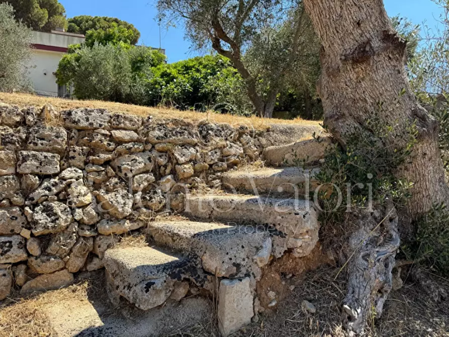 Immagine 25 di Casa indipendente in vendita  in Via Savoia 108 a Tuglie