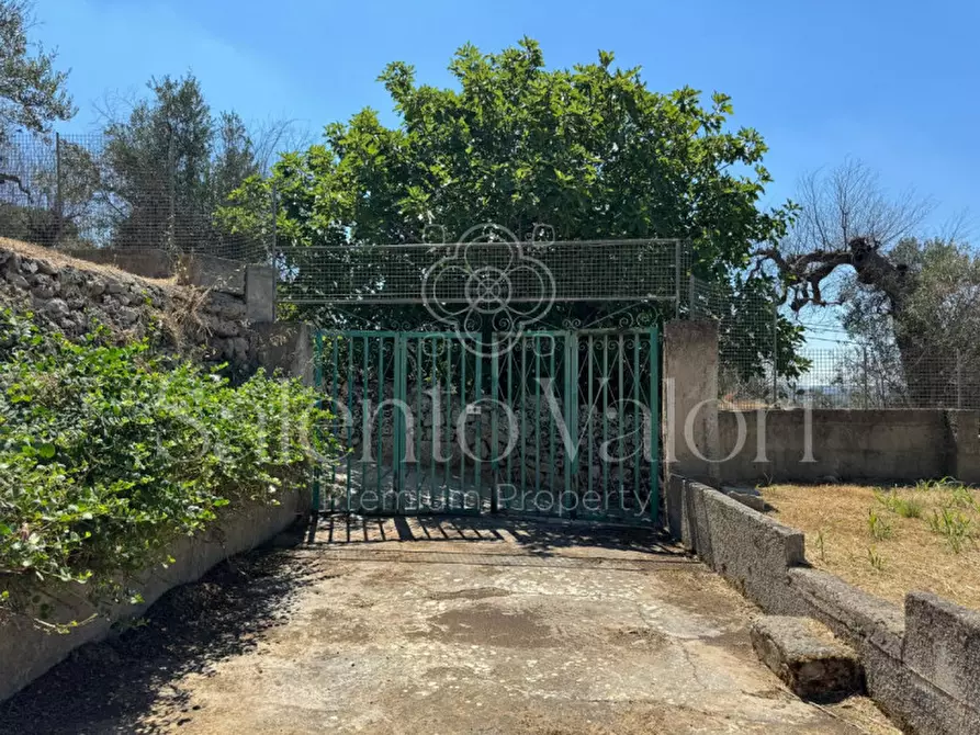 Immagine 33 di Casa indipendente in vendita  in Via Savoia 108 a Tuglie