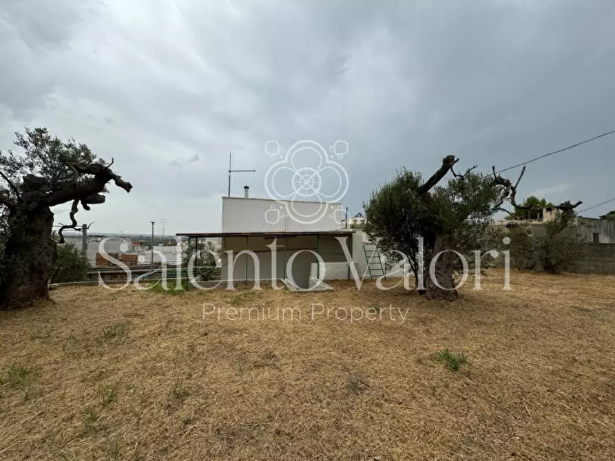 Immagine 39 di Casa indipendente in vendita  in Via Savoia 108 a Tuglie