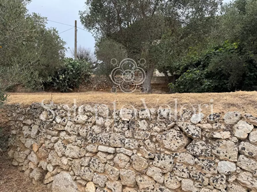 Immagine 41 di Casa indipendente in vendita  in Via Savoia 108 a Tuglie