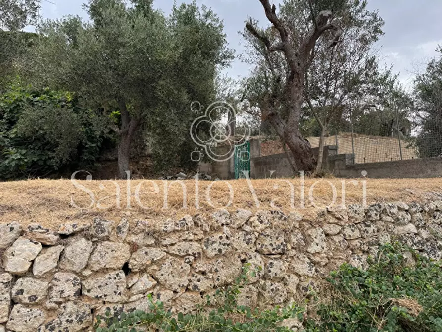 Immagine 42 di Casa indipendente in vendita  in Via Savoia 108 a Tuglie