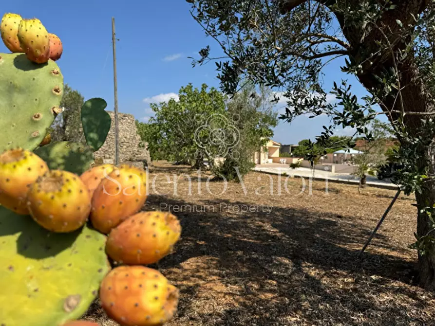Immagine 3 di Villa in vendita  in Strada Provinciale Neviano - Tuglie S.n.c. a Tuglie