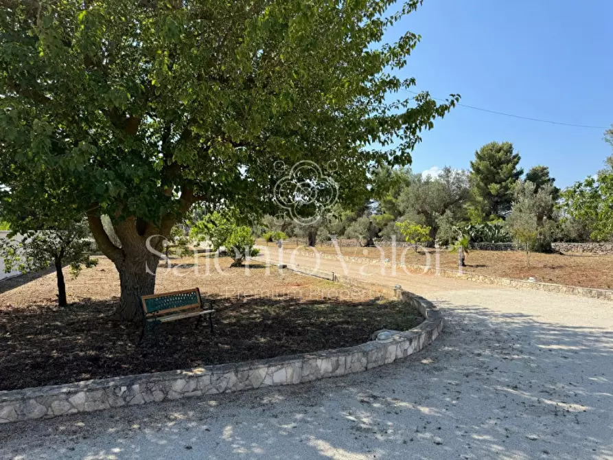 Immagine 11 di Villa in vendita  in Strada Provinciale Neviano - Tuglie S.n.c. a Tuglie