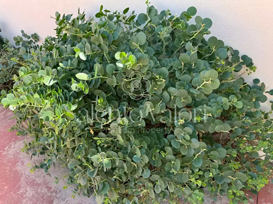 Immagine 39 di Villa in vendita  in Strada Provinciale Neviano - Tuglie S.n.c. a Tuglie