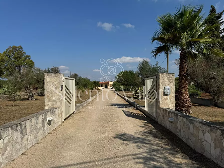 Immagine 91 di Villa in vendita  in Strada Provinciale Neviano - Tuglie S.n.c. a Tuglie