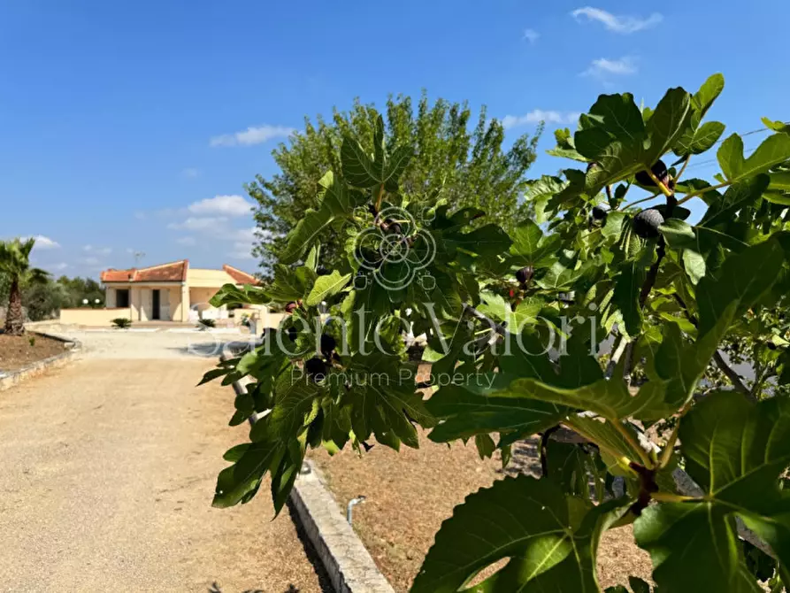 Immagine 105 di Villa in vendita  in Strada Provinciale Neviano - Tuglie S.n.c. a Tuglie