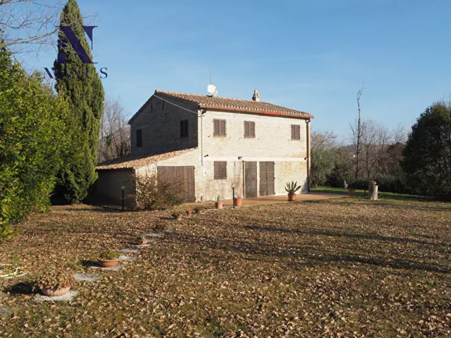 Immagine 1 di Rustico / casale in vendita  a Mondavio