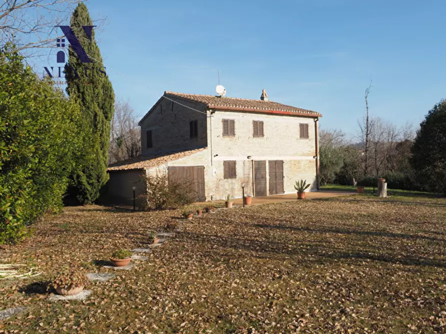 Immagine 3 di Rustico / casale in vendita  a Mondavio