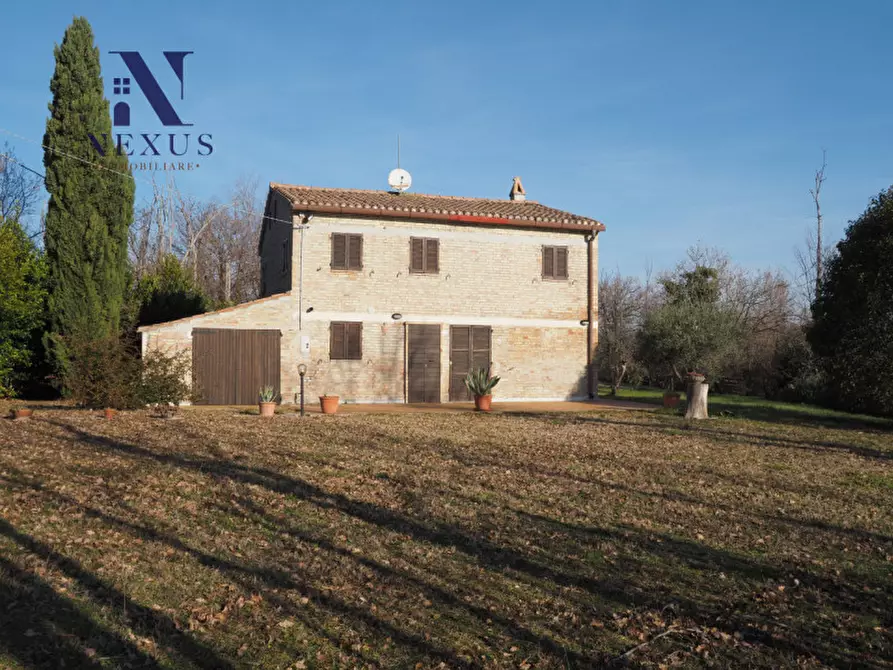 Immagine 4 di Rustico / casale in vendita  a Mondavio