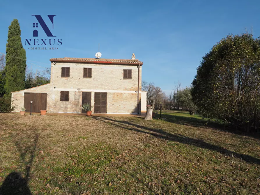 Immagine 5 di Rustico / casale in vendita  a Mondavio