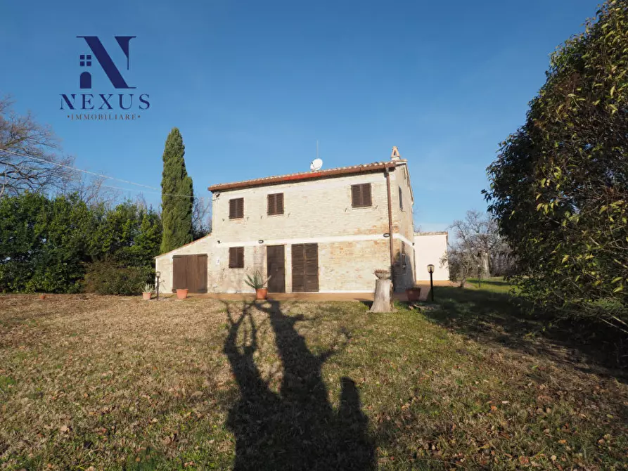 Immagine 6 di Rustico / casale in vendita  a Mondavio