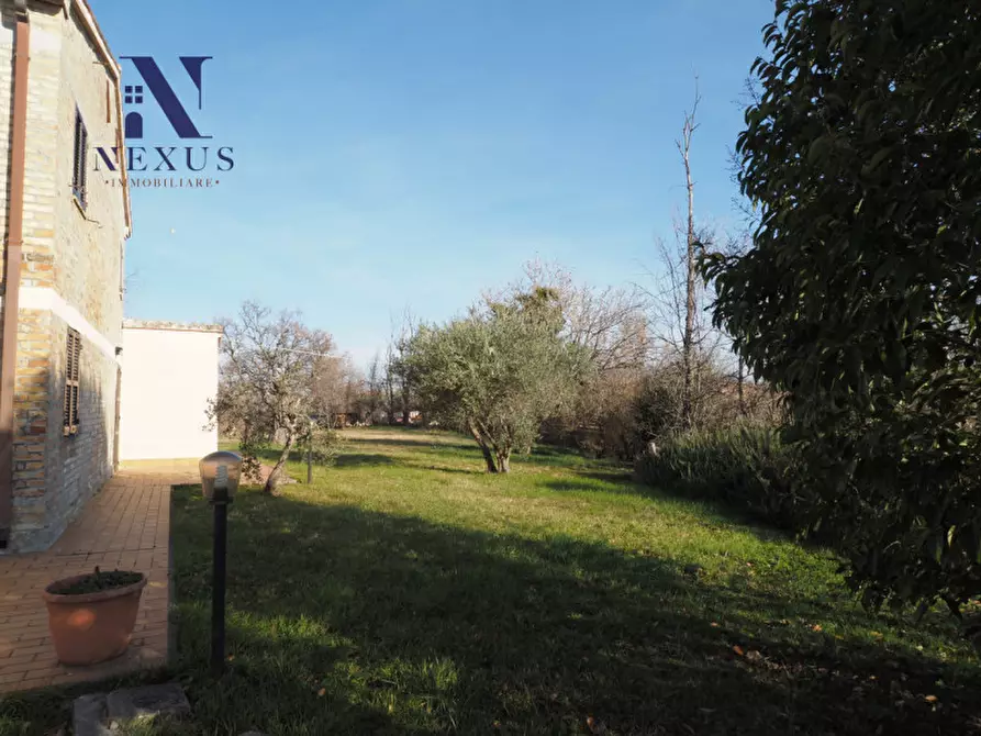 Immagine 7 di Rustico / casale in vendita  a Mondavio