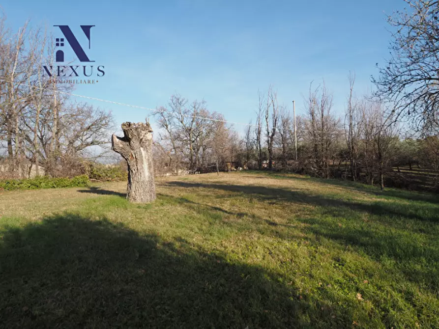 Immagine 8 di Rustico / casale in vendita  a Mondavio