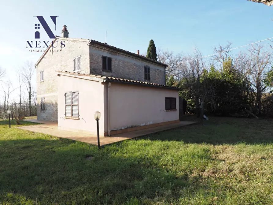 Immagine 9 di Rustico / casale in vendita  a Mondavio